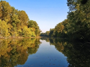 Gornje-Podunavlje[1]