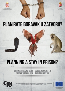 Poster-2_lisice_48x68