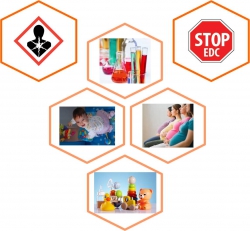 STOP EDCs
