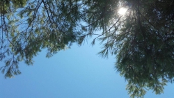 nebo1