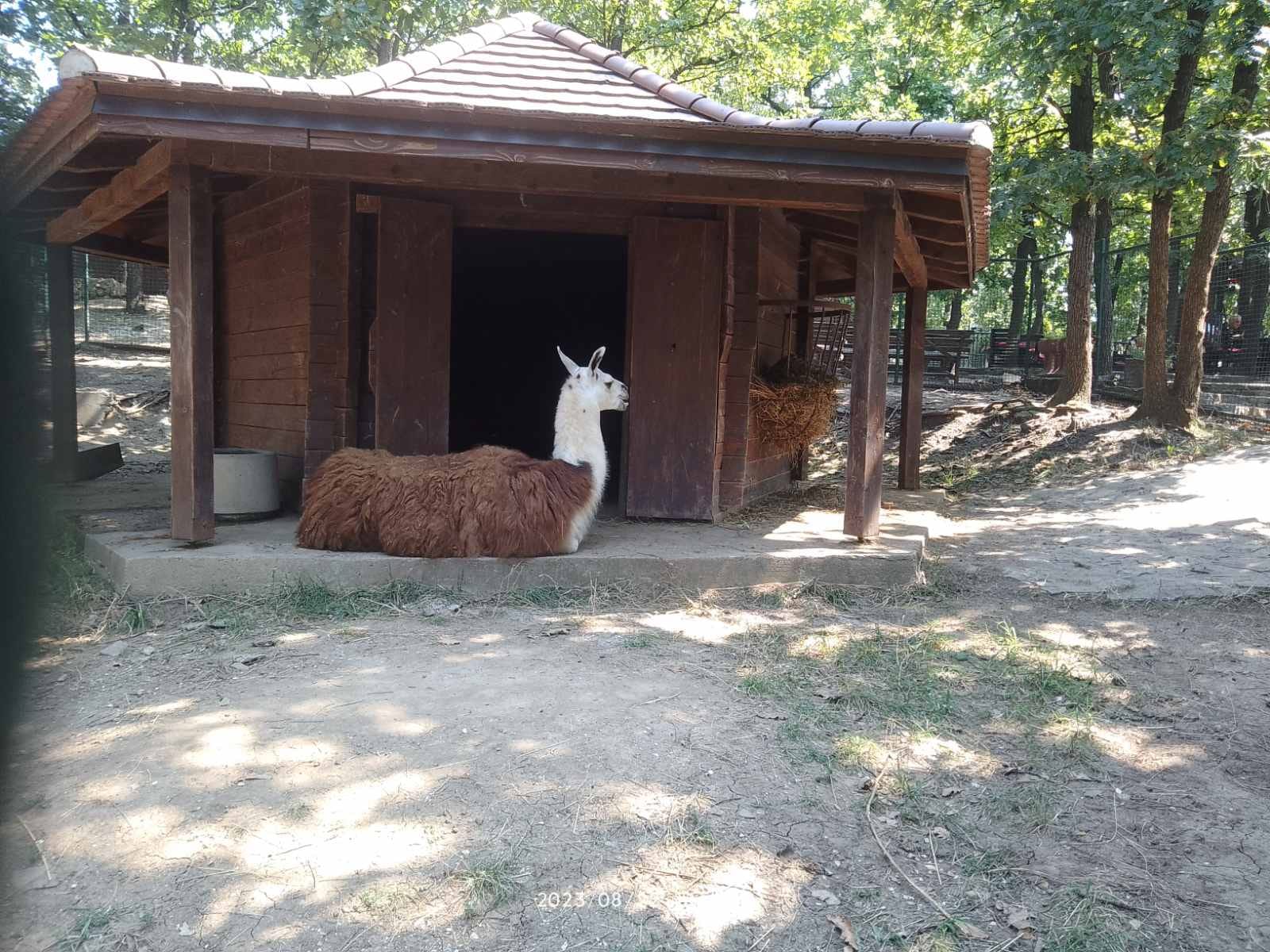 Зоолошки врт Бор
