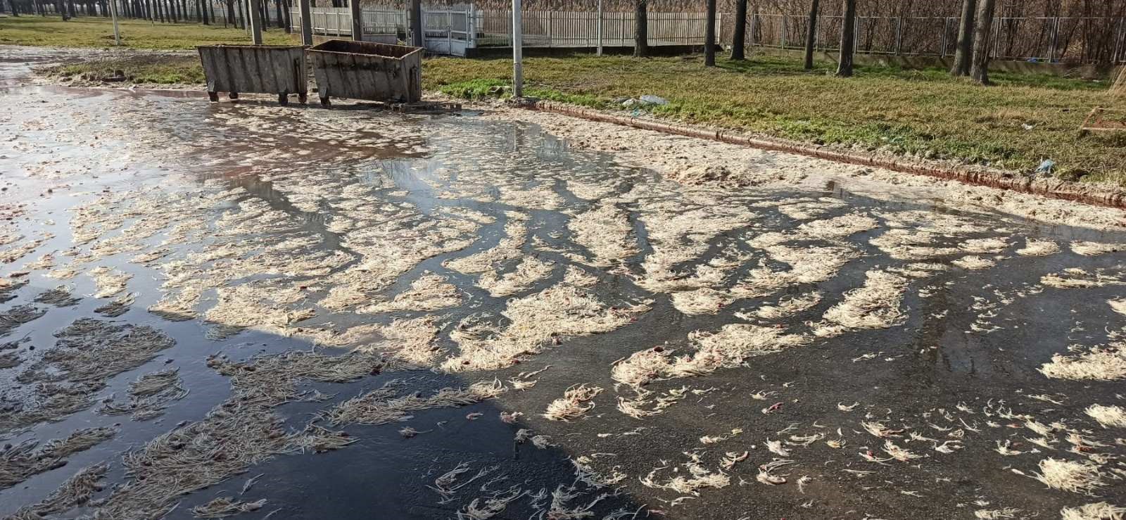 - Apelujem na sve da se odgovorno ponašaju prema životnoj sredini, jer je to u interesu svih nas. Želim da pohvalim brzu reakciju i timski rad republičke i pokrajinske inspekcije, koje su odmah po prijavi građana izašle na teren, utvrdile problem i pokrenule postupak. Nama nije cilj da kažnjavamo, već da jačamo svest o značaju odgovornog postupanja prema prirodi, ali nećemo tolerisati propuste u pogledu obaveza vezano za zaštitu okoline – rekla je ministarka Vujović.    Ona je dodala da od kompanije „Premium Čiken“ očekuje da što pre otkloni sve nepravilnosti, i da ubuduće bude samo dobar primer za druge.  Inspektori su, prilikom kontrole kompanije utvrdili da klanica i prerada rade sa 40% kapaciteta i da se ostaci životinjskog porekla i voda kojom se konfiskat dovodi iz klanice razlivaju po okolnom platou i ulivaju u internu kanalizaciju. Utvrdili su i da je uređaj za prečišćavanje otpadnih voda samo delimično u funkciji, s obzirom da se ne koristi biološko prečišćavanje već samo taloženje i aeracija. Takođe, izveštaji pokazuju prekoračenja graničnih vrednosti za HPK, BPK, suspendovane materije i fosfor.  Od ostalih nepravilnosti utvrđeno je da izveštaji o ispitivanju otpadnih voda nisu u propisanoj formi, nije ugrađen merač protoka otpadnih voda i ne vodi se dnevnik uređaja za prečišćavanje. Akcioni plan za dostizanje graničnih vrednosti emisije zaguđujućih materija u vodi nije realizovan, iako su rokovi bili do kraja 2019. godine, a takođe nije donet ni novi plan.  Nadležni inspektor će preduzeti zakonom predviđene mere. O stanju vezanom za korišćenje objekta za konfiskat obaveštena je veterinarska inspekcija.