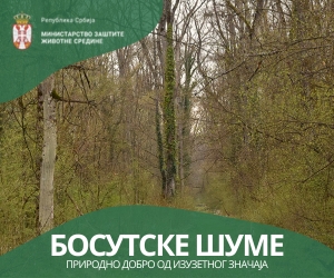 Босутске шуме