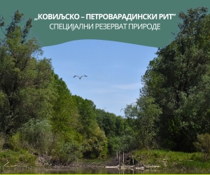 Специјални резерват природе Ковиљско-Петроварадиснки рит