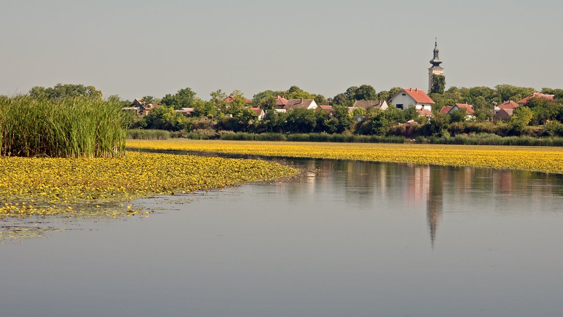 Потамишје 6