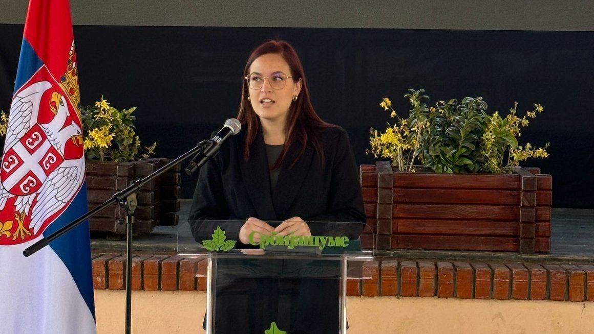 Dan šuma Sara 1.jpg