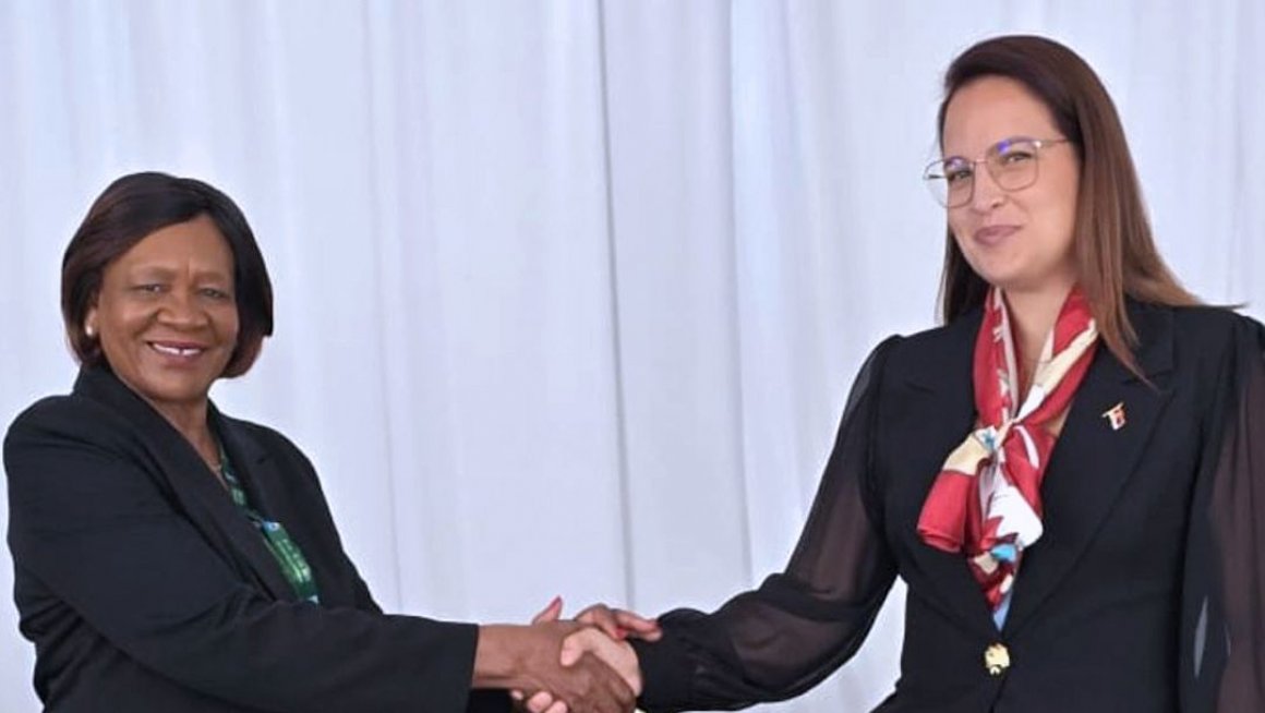 Павков Зимбабве Ндлова 1.jpg