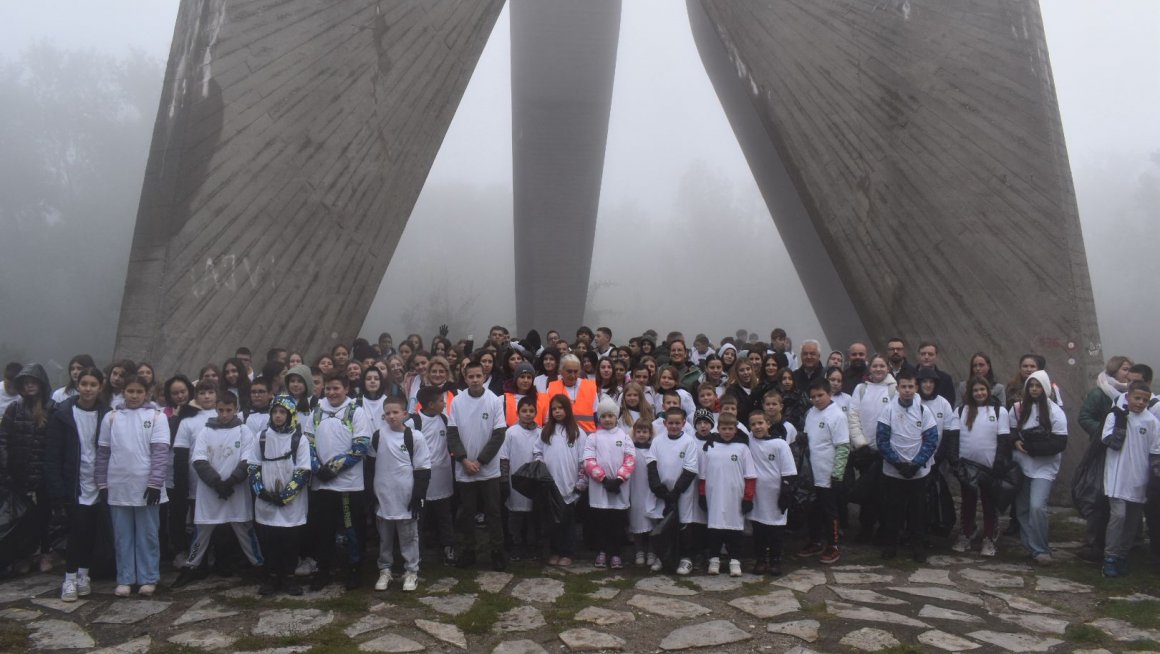 Sara Pavkov Sara Pavkov