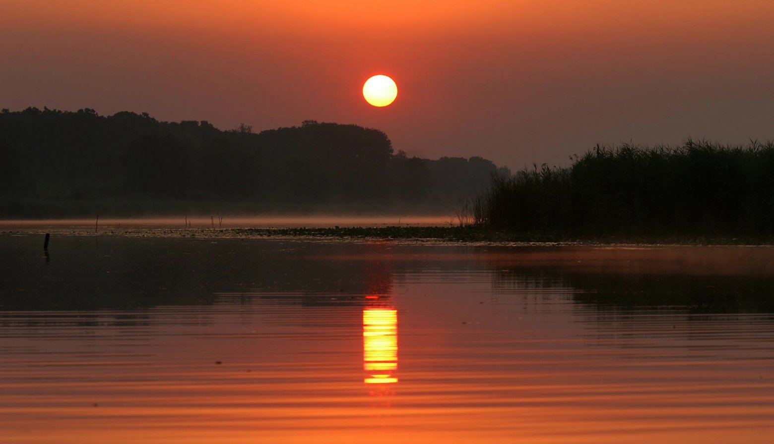 Резерват биосфере „Мура-Драва-Дунав“ у пет држава уписан на листу Унеска